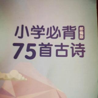 小学必背古诗75首-春晓