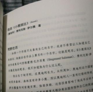 《小鹿斑比》上