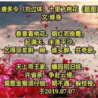 唐多令.十里飞桃花/文.修身