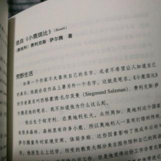 《小鹿斑比》下