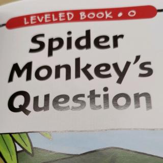 江尚玥—O—Spider Monkey's Question'