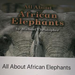 All About African Elephants上