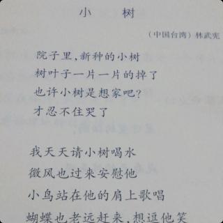 小树