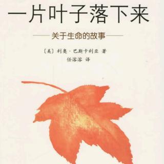 菁菁老师讲故事《一片叶子落下来》