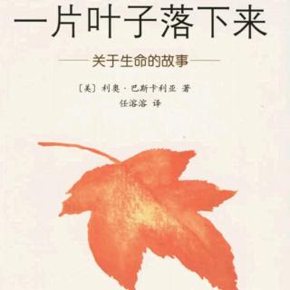 绘本解析《一片叶子落下来》