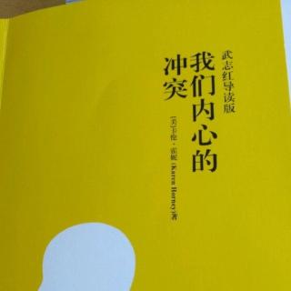 【《我们内心的冲突》No9激烈的神经症冲突(1)】