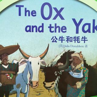 The ox and the Yak