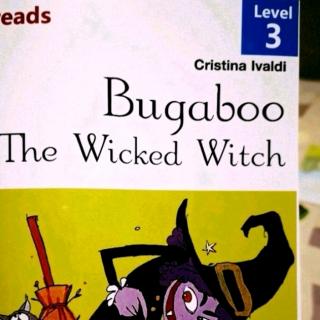 bugaboothewickedwitch62