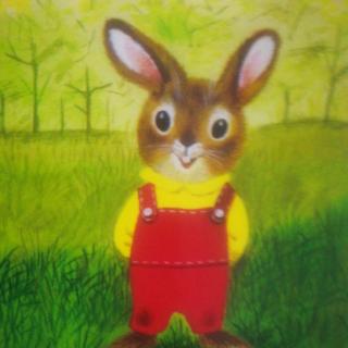 昊昊讲故事《我是一只小兔子》