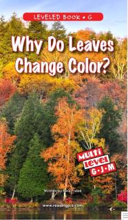 why do leaves change color？