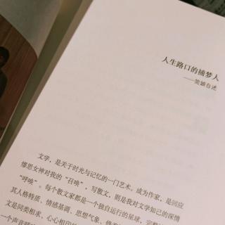 【树洞】来聊一聊林阿隽