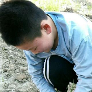 【小纸鸟】在线收听_高瑞02_荔枝