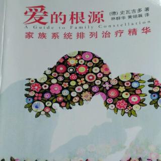 《爱的根源》第一章 家族系统如何运作