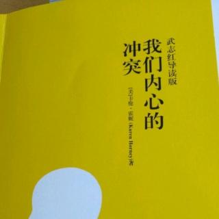 【《我们内心的冲突》No10激烈的神经症冲突(2)】