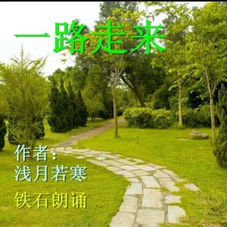 《一路走来》作者：浅月若寒 ；铁石朗诵