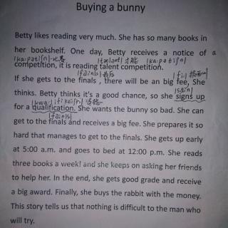 Buying    a      Bunny