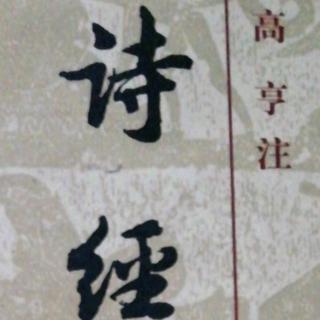 郑风  羔裘