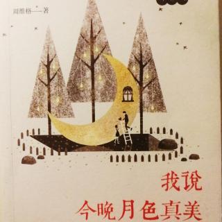 《我说今晚月色真美你说是的—6、天台爱情》