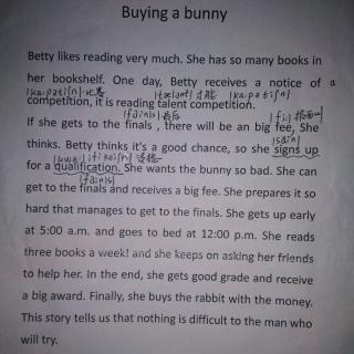 Buying  a  Bunny