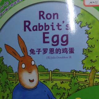 James读兔子罗恩的鸡蛋