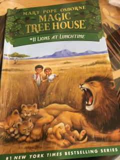 Magic Tree House 11