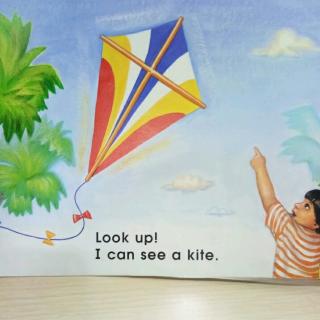 Look up! I can see a kite.