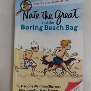 Nate the  great and the boring beach bag