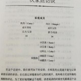 萨提亚，一次家庭访谈实录