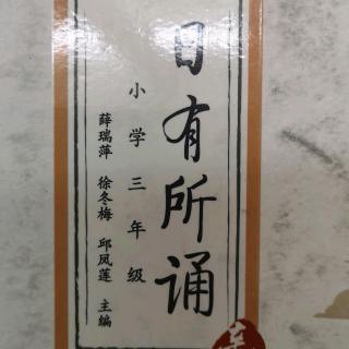 《飞鸟集》精选