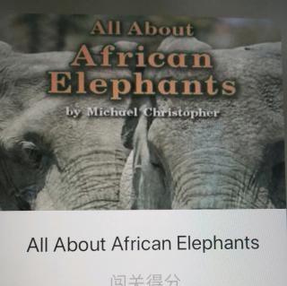 All about African Elephants下