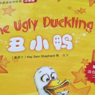 The Ugly Duckling丑小鸭1，2，3，4