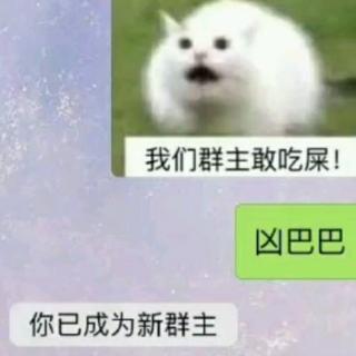 你的泪会说谎