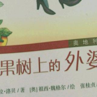 苹果树上的外婆、第六章、奇妙的储蓄袜子