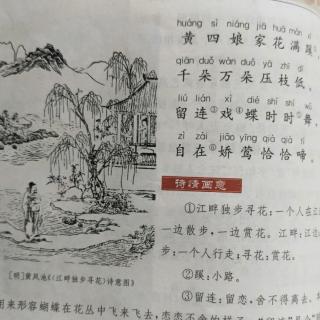 46《江畔独步寻花》其六