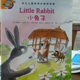 L4   Little Rabbit