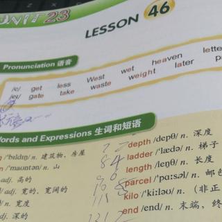 新概念英语2B  lesson46