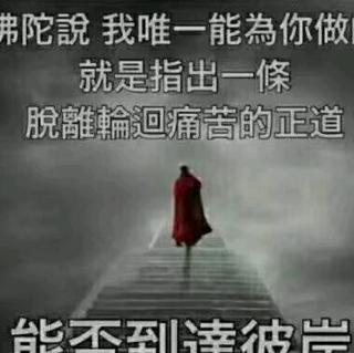 我问佛