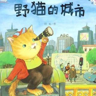 野猫的城市