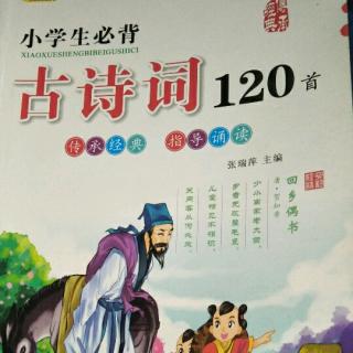 古诗词120首《江畔独步寻花》