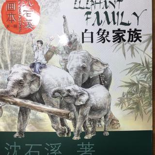 白象家族:2(上)