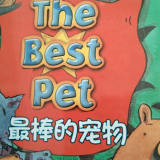 The  best  pet