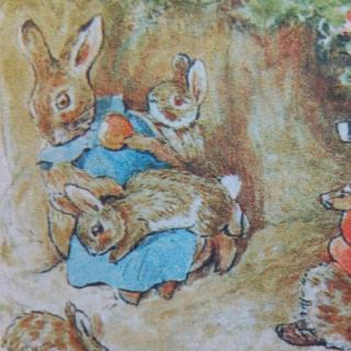 佛洛普西家的兔宝宝 的故事