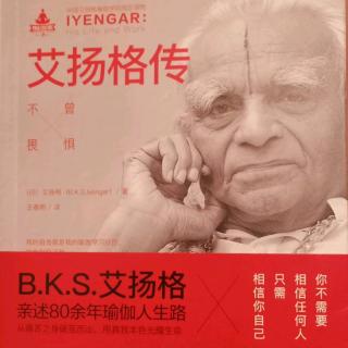 拜访B.K.S艾扬格