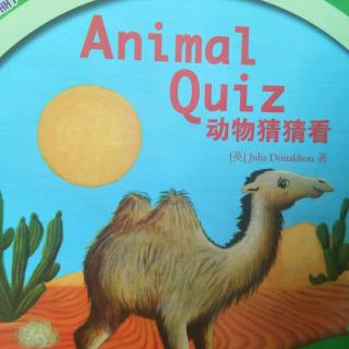 Animal Quiz