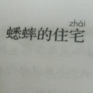 11.蟋蟀的住宅    王鸿运