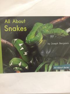 jul-13-All About Snakes