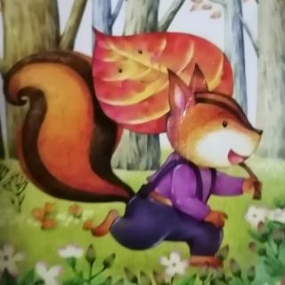 金波童话集《小松鼠和红树叶》