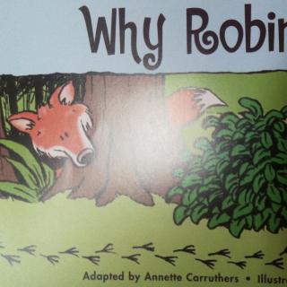 Why robins hop