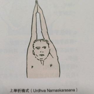 5.上举祈祷式（Urdhva Namaskarasana）
