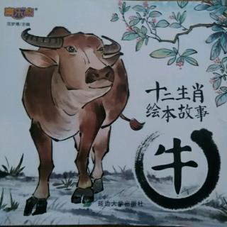 十二生肖绘本故事  丑牛🐮